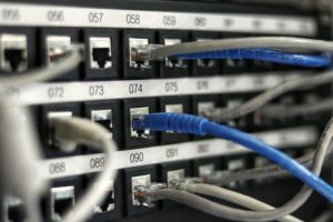 Blue and grey cables plugged into server with numbered ports